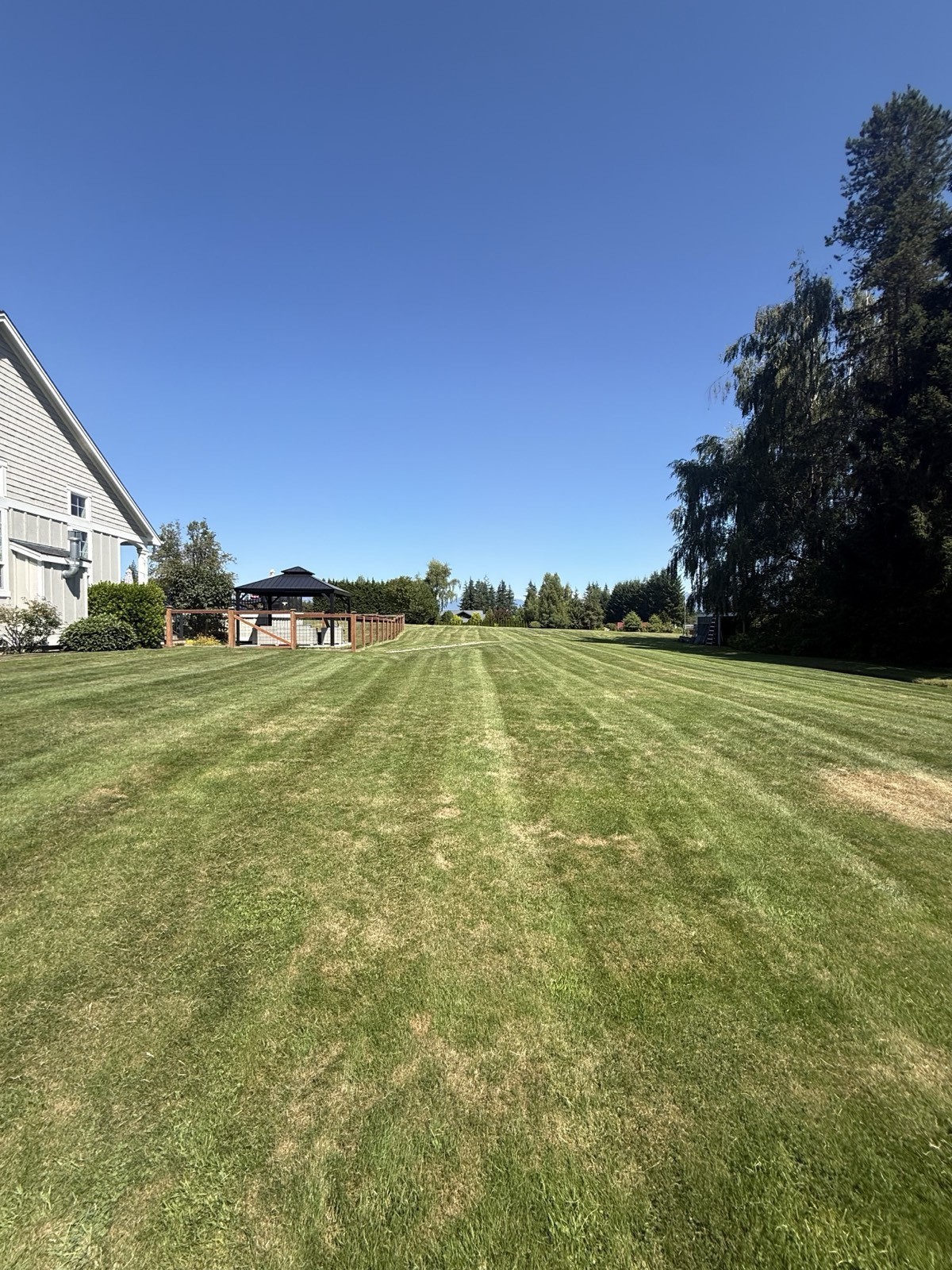 Freshly mowed lawn with crisp striping pattern near a backyard gazebo